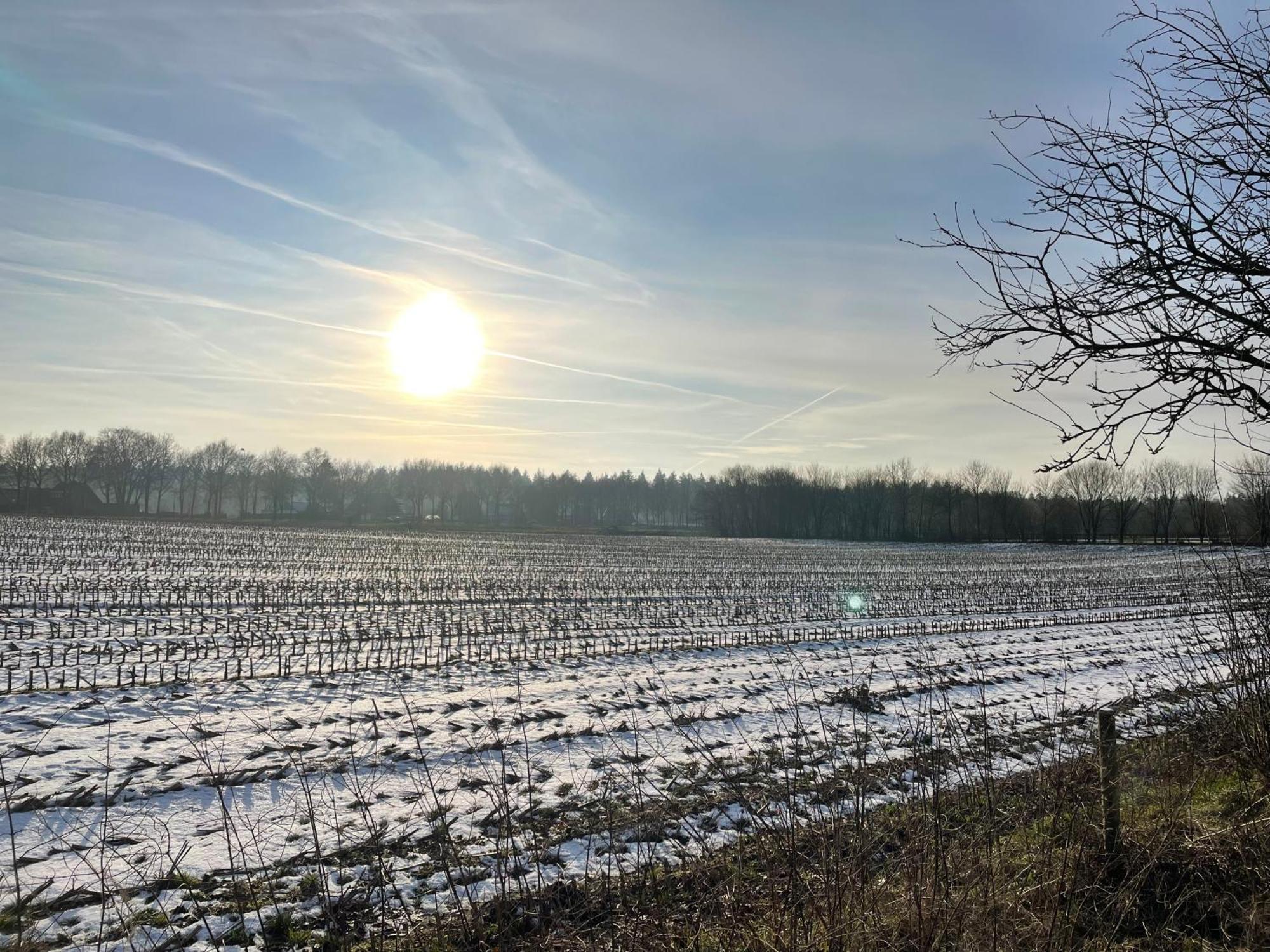 De 4 Seizoenen Bed and Breakfast Loenen Exteriör bild